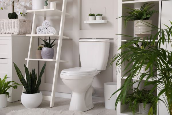 Toilet Repair